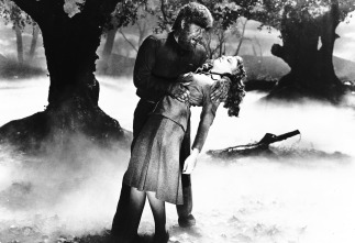 Imagen de El hombre lobo - 4