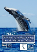 Imagen de De viaje: naturaleza salvaje en el país de los Taínos - 1