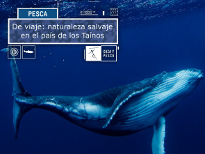 Imagen de De viaje: naturaleza salvaje en el país de los Taínos - 2