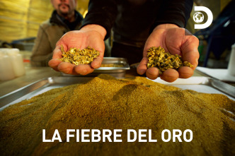 Imagen de La fiebre del oro (T8) - 2