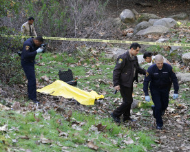 Imagen de Mentes criminales (T15) - 6