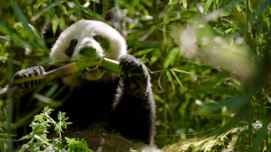 Imagen de Los reinos ocultos de China  - 3