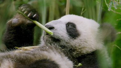 Imagen de Los reinos ocultos de China  - 4
