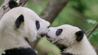 Imagen de Los reinos ocultos de China  - 5