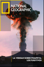 Imagen de La verdad sobre Pompeya: Los fugitivos - 1