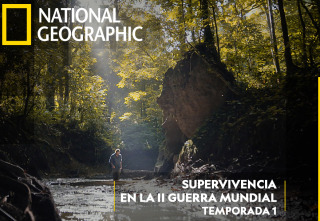 Imagen de Supervivencia en la II GM: Escape del campo de prisioneros - 2
