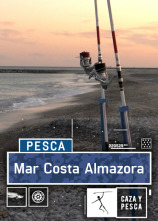 Imagen de Mar Costa Almazora - 1
