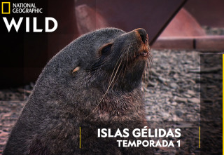 Imagen de Islas gélidas: Islas gélidas 1 - 2