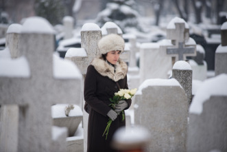 Imagen de Cuando cae la nieve - 8