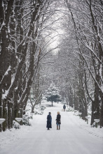 Imagen de Cuando cae la nieve - 14