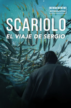 Informe Robinson (7): Scariolo: el viaje de Sergio