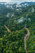 Islas tropicales: Borneo