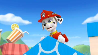 La Patrulla Canina - El triciclo de Alex / El mejor cachorro bombero