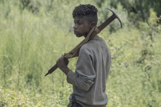 Imagen de The Walking Dead (T10) - 15