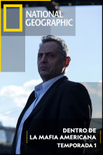 Imagen de Dentro de la mafia...: Infiltrado - 1