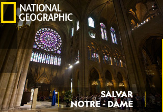 Salvar Notre Dame