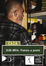 Sub Moa (T1): Puesta a punto
