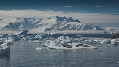 Antártida, un mensaje de otro planeta