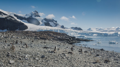 Antártida, un mensaje de otro planeta