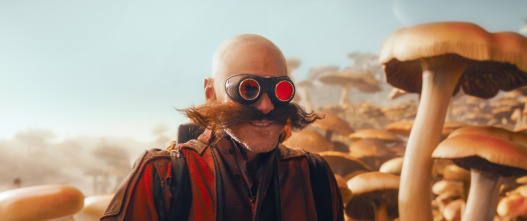 Imagen de (LSE) - Sonic, la película - 14