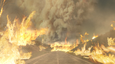 Imagen de Testigos de la tragedia  - 4