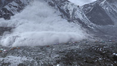 Imagen de Testigos de la tragedia  - 5