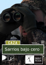 Sarrios bajo cero