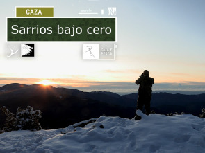 Sarrios bajo cero