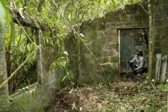 Imagen de Los millones de Escobar  - 7