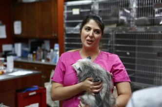 Imagen de Doctora K: animales exóticos: ¡mujeres maravillosas! - 3