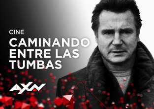 Imagen de Caminando entre las tumbas - 2