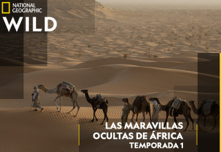 Las maravillas ocultas...: Etiopía