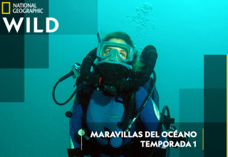 Imagen de Maravillas del océano: Islas de vida - 2