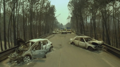 Imagen de Testigos de la tragedia  - 7