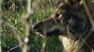 Imagen de Cazadores salvajes  - 9