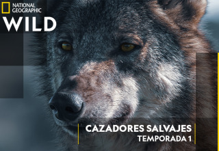 Imagen de Cazadores salvajes  - 2