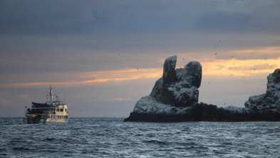 Imagen de La isla de los tiburones - 4