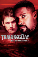 Imagen de Training Day - 1