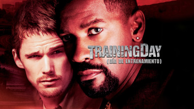 Imagen de Training Day - 2