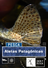 Imagen de Patagonia... (T1): Aletas patagónicas - 1