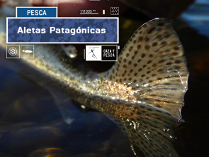 Imagen de Patagonia... (T1): Aletas patagónicas - 2