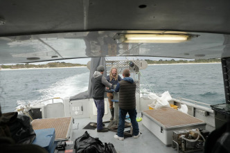 Imagen de Defensa contra tiburones - 6