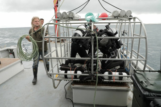Imagen de Defensa contra tiburones - 8