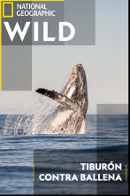 Imagen de Tiburón contra ballena - 1