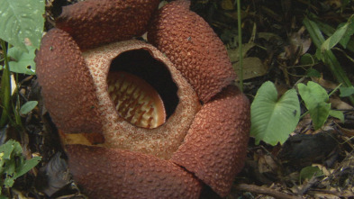 Imagen de Los secretos naturales del ecuador  - 5