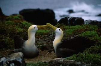 Imagen de Los secretos naturales del ecuador  - 6