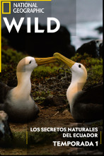Los secretos naturales...: Galápagos