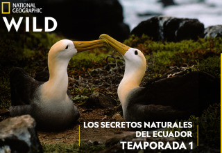 Los secretos naturales...: Galápagos