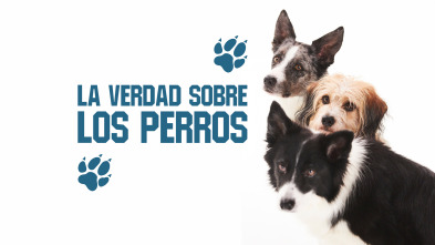 La verdad sobre los perros