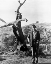 Imagen de Psicosis - 8